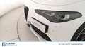 Alfa Romeo Giulia 2.2 Turbo Veloce Bianco - thumbnail 8