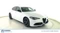 Alfa Romeo Giulia 2.2 Turbo Veloce Bianco - thumbnail 2
