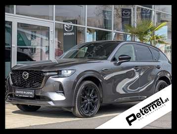 3.3 D254 8AT AWD HOMURA COSO Leder