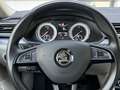 Skoda Superb Superb Kombi 2,0 TDI 4x4 Style DSG Style Grau - thumbnail 7
