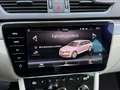 Skoda Superb Superb Kombi 2,0 TDI 4x4 Style DSG Style Grau - thumbnail 9