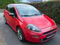 Fiat Punto My Punto**HU/AU Neu**Zahnriemen Neu** Roşu - thumbnail 2