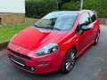 Fiat Punto My Punto**HU/AU Neu**Zahnriemen Neu** Roşu - thumbnail 15