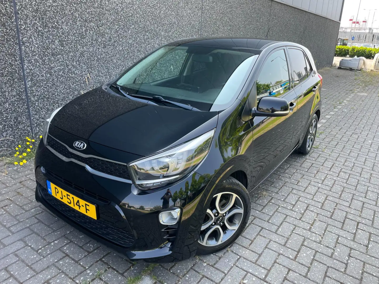 Kia Picanto 1.0 CVVT First Edition/Dealer onderhouden/Full opt Noir - 2