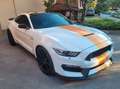 Ford Mustang 5.2 V8 Shelby GT350 Weiß - thumbnail 5