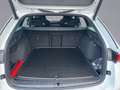 Skoda Octavia Combi RS 2.0 TSI DSG NAVI LED DAB RFK Blanc - thumbnail 13
