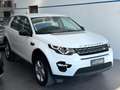 Land Rover Discovery Sport Discovery Sport 2.0 eD4 150 CV 2WD Pure Bianco - thumbnail 3