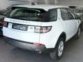 Land Rover Discovery Sport Discovery Sport 2.0 eD4 150 CV 2WD Pure Bianco - thumbnail 4
