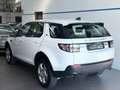Land Rover Discovery Sport Discovery Sport 2.0 eD4 150 CV 2WD Pure Bianco - thumbnail 2