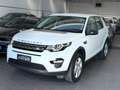 Land Rover Discovery Sport Discovery Sport 2.0 eD4 150 CV 2WD Pure Bianco - thumbnail 1