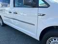 Volkswagen Caddy Kombi BMT 2.0 TDI AHK ACC Kamera Weiß - thumbnail 18