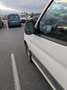 Citroen Berlingo 1.9 D - thumbnail 10