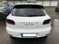 Porsche Macan Macan GTS,ALCANTARA,LED,SERVO+,APPROVED 2025 Blanc - thumbnail 6