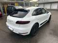 Porsche Macan Macan GTS,ALCANTARA,LED,SERVO+,APPROVED 2025 Blanc - thumbnail 7