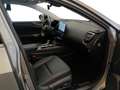 Lexus NX 300 NX Hybrid 4WD Premium Grigio - thumbnail 6