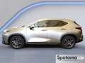 Lexus NX 300 NX Hybrid 4WD Premium Grigio - thumbnail 3