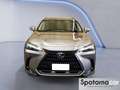Lexus NX 300 NX Hybrid 4WD Premium Grigio - thumbnail 5
