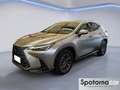 Lexus NX 300 NX Hybrid 4WD Premium Grigio - thumbnail 1