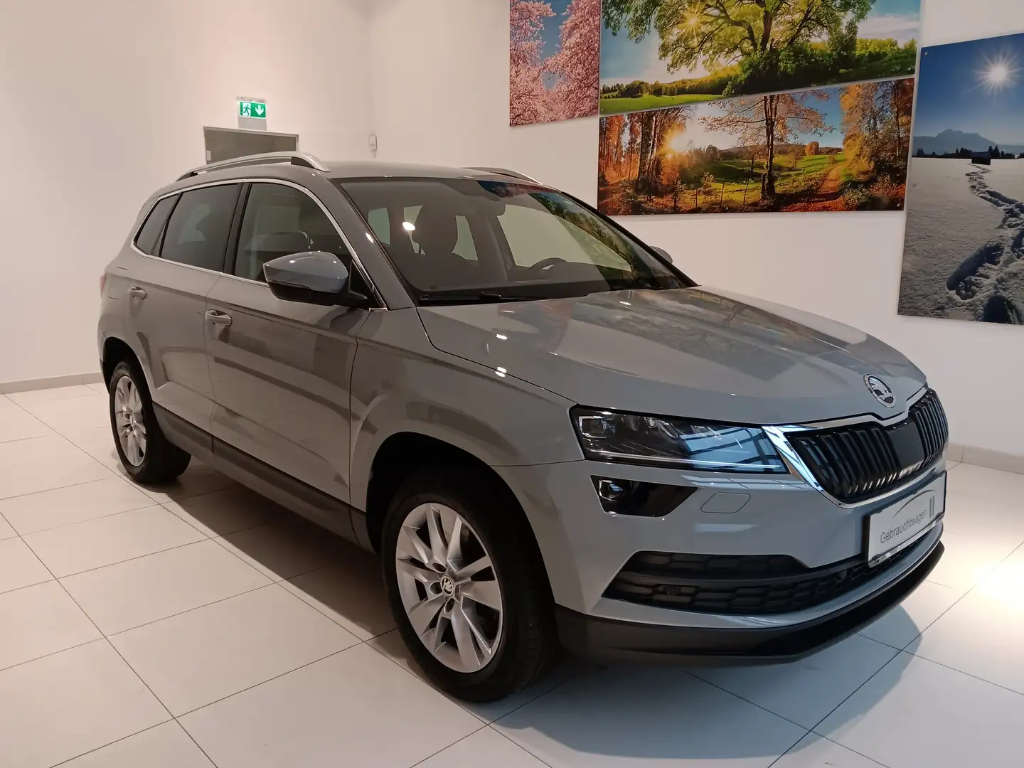 Skoda Karoq Ambition Gris - 1