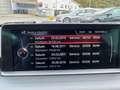 BMW 135 i xDrive/Aut/Schaltwippen/SD Grau - thumbnail 19