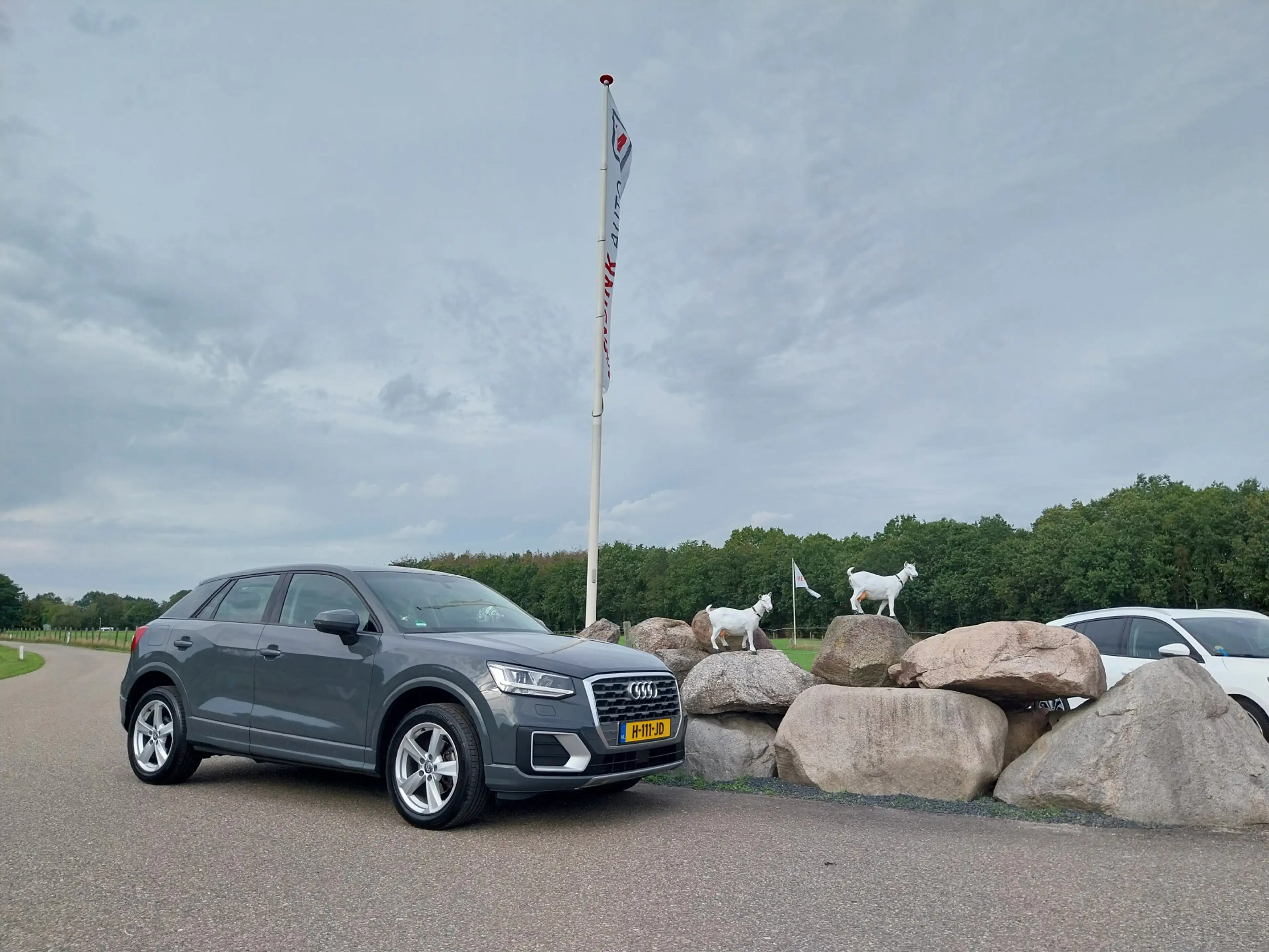 Audi Q2 30 TFSI Design Pro Line Plus LED TREKHAAK CRUISE E — photo 6