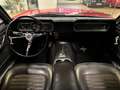 Ford Mustang V8 Automatik 289 Coupé H-Zulassung Rot - thumbnail 15