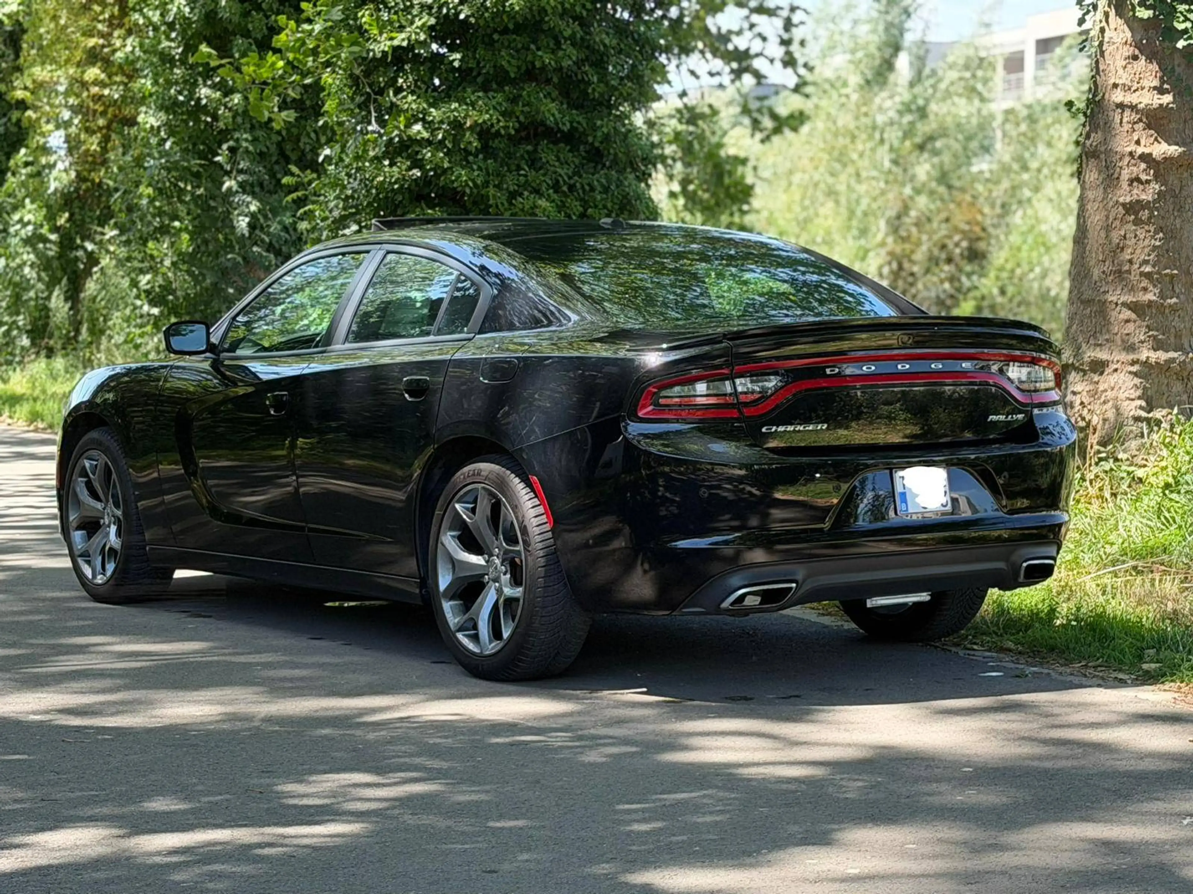 Dodge Charger Rally - Auto - Cuir - Toit pano - Caméra — photo 8