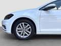 Volkswagen Golf 1.5 TSI Evo Advance DSG7 110kW Blanco - thumbnail 9