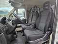 Fiat Ducato 35 LH1 2.3 MJT DOPPIA CABINA CASSONE FISSO  140CV Blanc - thumbnail 8