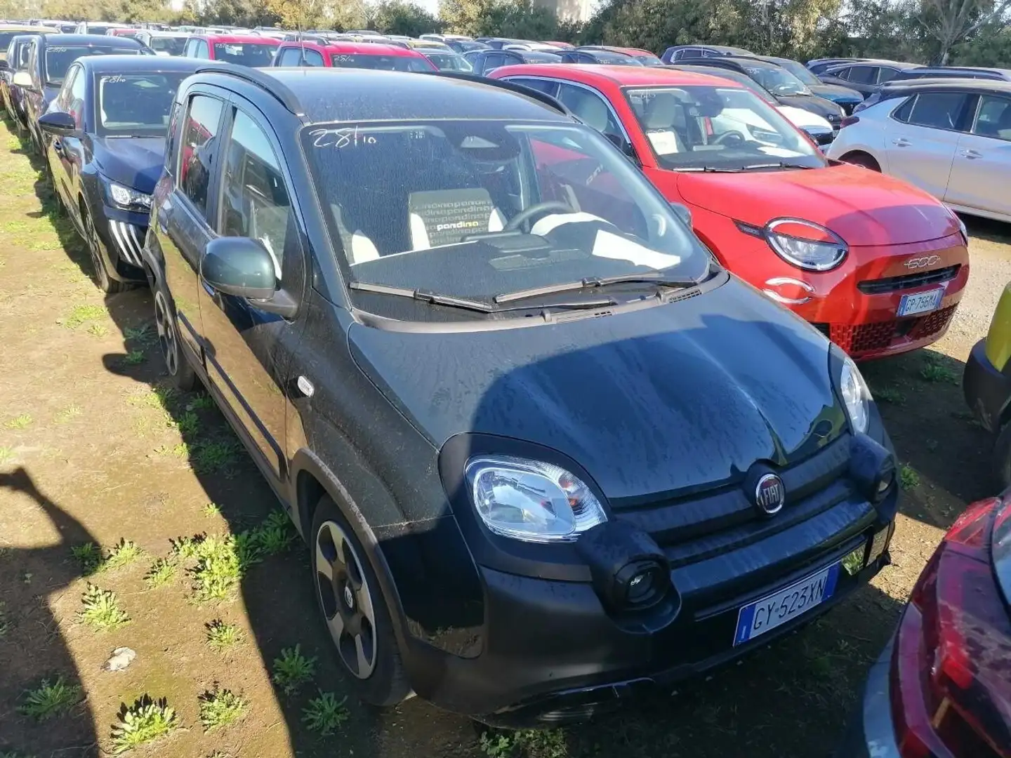 Fiat Panda Panda Cross 1.0 FireFly S&S Hybrid Verde - 2