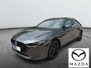 2.0 e-SKY-X M-Hyb.Selection,AWD,AT-Getr.AHK ab