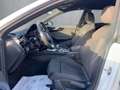 Audi A5 Sportback 35 TDI S-line elHK/RFK/LM19/LED Klima Wit - thumbnail 12