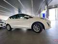 Ford Fiesta 1.1 Ti-VCT Trend+ Blanco - thumbnail 3