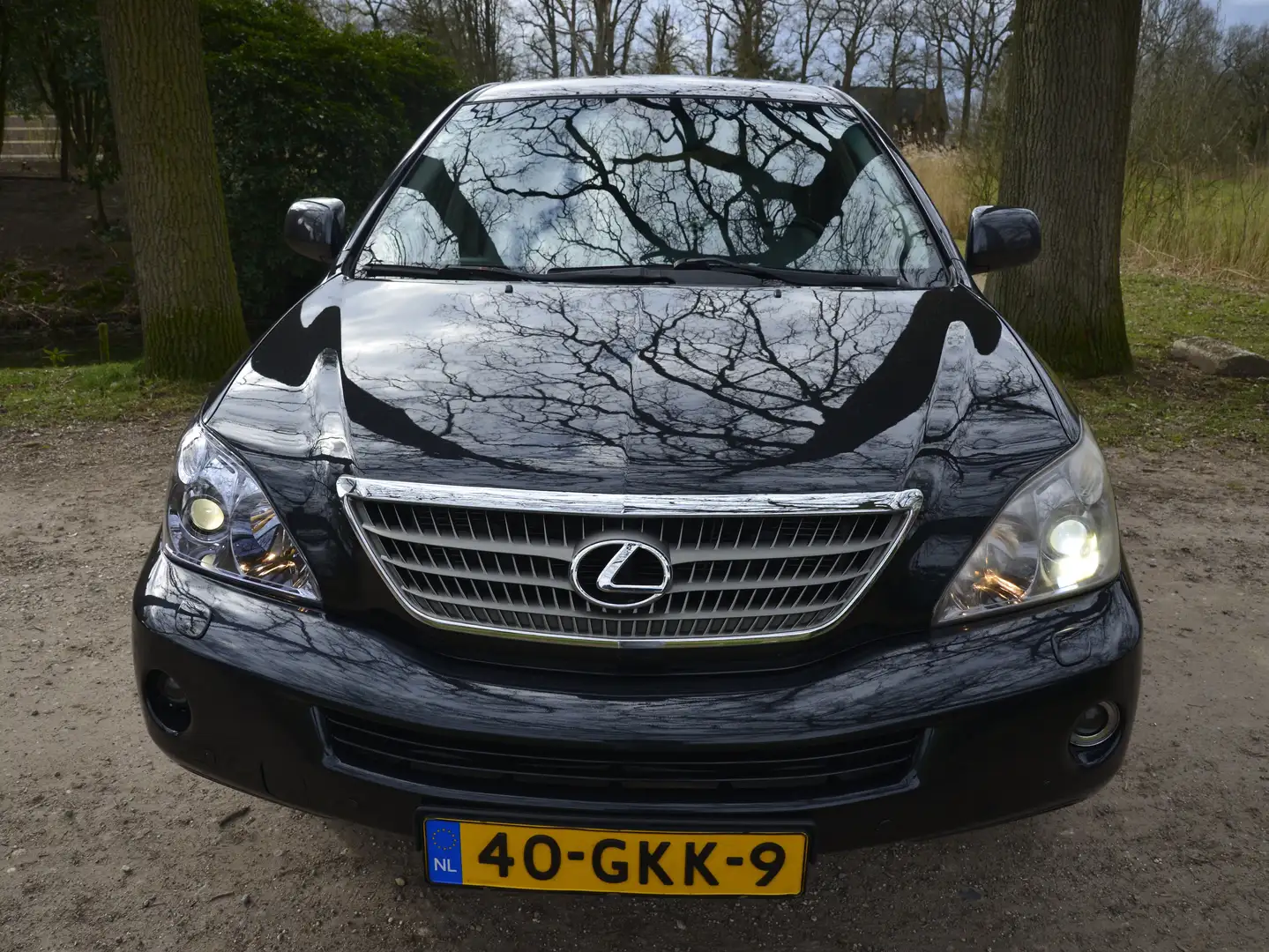 Lexus RX 400 400h Executive | Mark Levinson | Dakraam | APK Šedá - 2