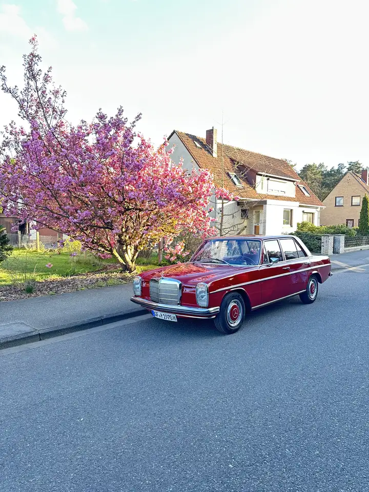 Mercedes-Benz 220 Strich 8, foto 1