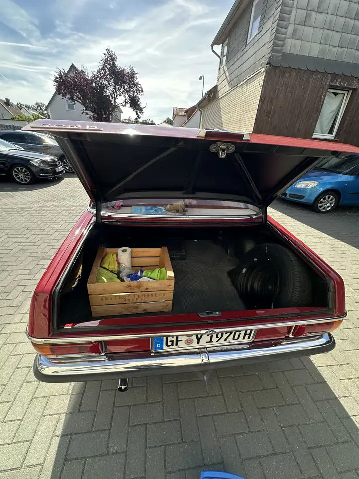 Mercedes-Benz 220 Strich 8, foto 8