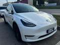 Tesla Model Y Performance Dual Motor awd Bianco - thumbnail 3