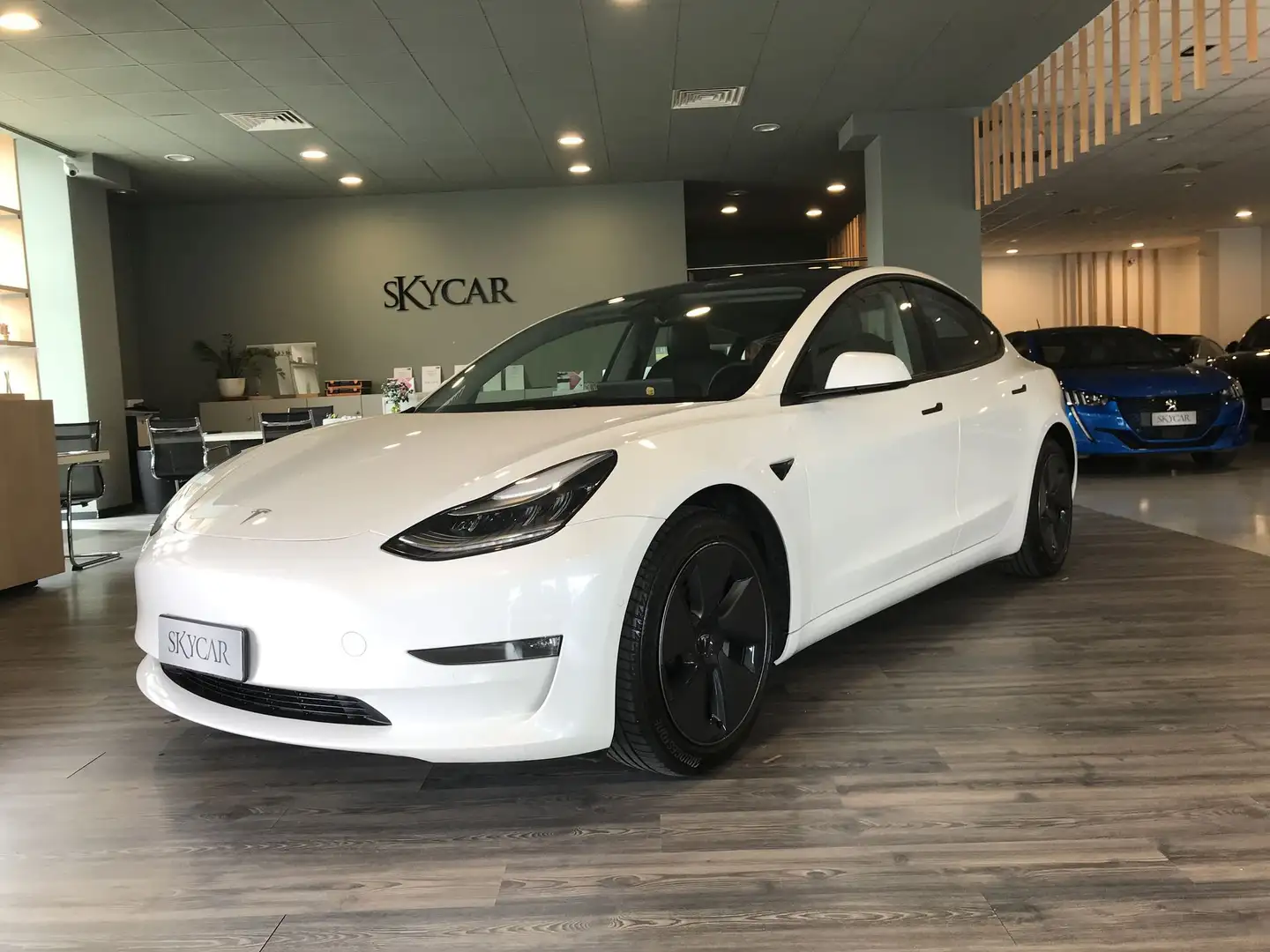 Tesla Model 3 Model 3 Standard RWD Plus Blanc - 1