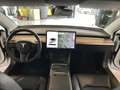 Tesla Model 3 Model 3 Standard RWD Plus Blanc - thumbnail 11
