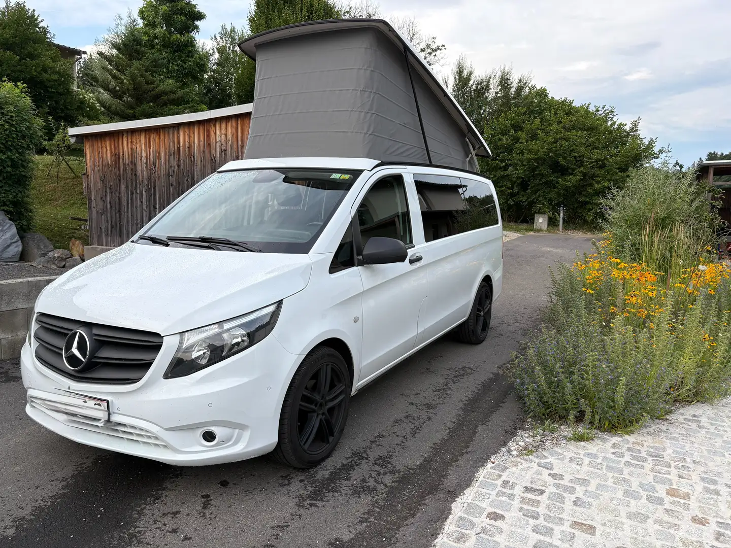 Mercedes-Benz V 250 V 250 d Kombi 4MATIC Weiß - 1