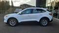 Ford Kuga Kuga 2,5 Duratec FHEV Tit. Aut. Navi RFK So+Wi Weiß - thumbnail 3