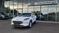 Ford Kuga Kuga 2,5 Duratec FHEV Tit. Aut. Navi RFK So+Wi Weiß - thumbnail 1