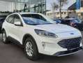 Ford Kuga Kuga 2,5 Duratec FHEV Tit. Aut. Navi RFK So+Wi Weiß - thumbnail 6