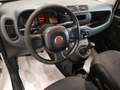 Fiat Panda 1.2 Pop Van 2 posti Wit - thumbnail 6