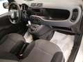 Fiat Panda 1.2 Pop Van 2 posti Wit - thumbnail 8