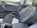 CUPRA Formentor 2.0 TDI 110kW (150 CV) Blanco - thumbnail 12