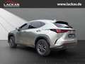 Lexus NX 350h *Executive* Interieur Paket + Technologie Paket Argent - thumbnail 3