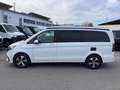 Mercedes-Benz Marco Polo V 250 d  MOPF+AIRMATIC+MBUX+MBAC Biały - thumbnail 8