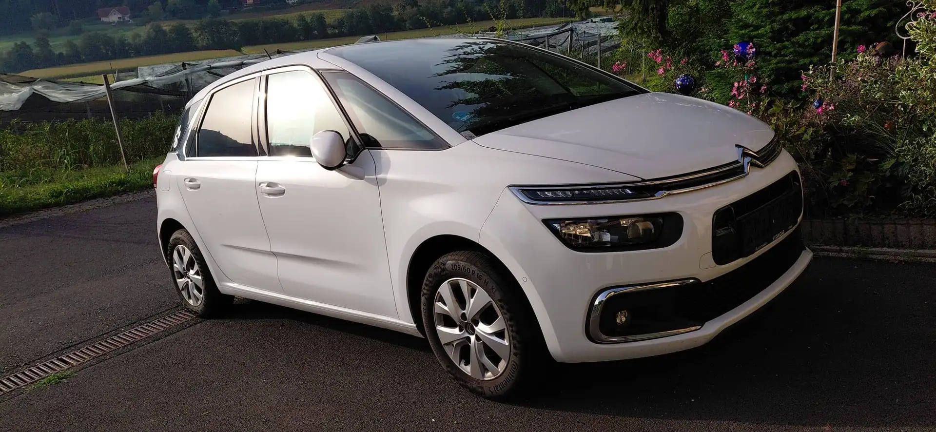 Citroen C4 SpaceTourer C4 Spacetourer BlueHDi 130 S Weiß - 1