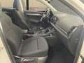 Skoda Karoq 1.6TDI AdBlue Ambition Blanco - thumbnail 18
